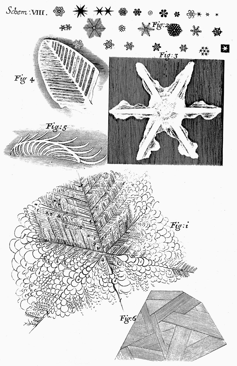 Frosne materialer set af den engelske mikroskopist Robert Hooke, 1665 af Unbekannt