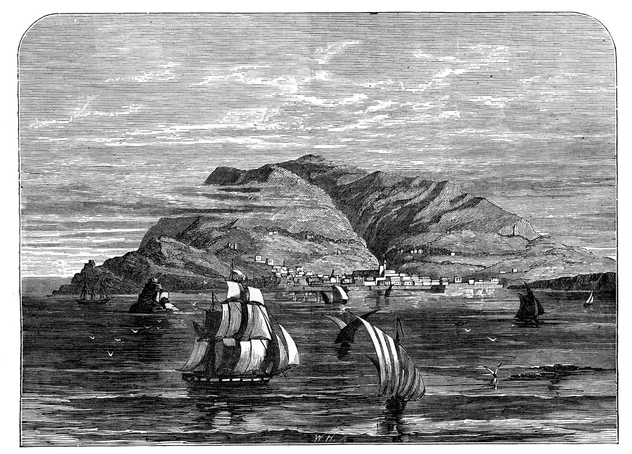 Funchal, Madeira, c1890 af Unbekannt