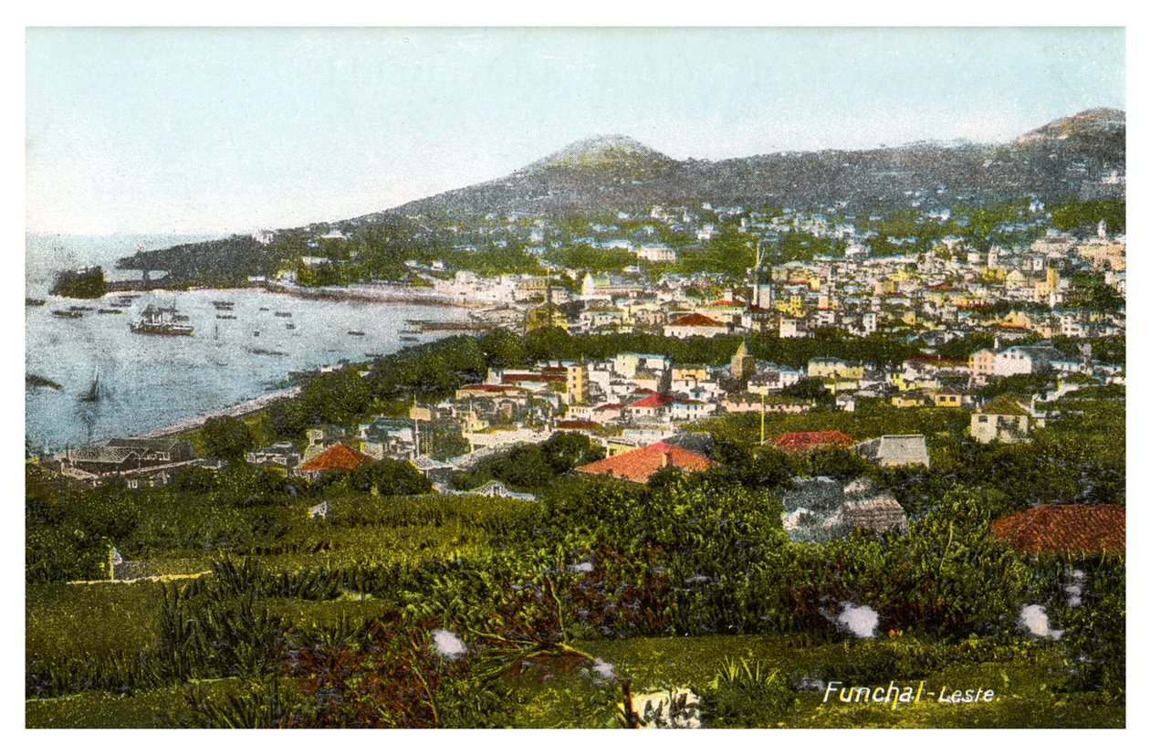 Funchal, Madeira, begyndelsen af det 20. århundrede af Unbekannt