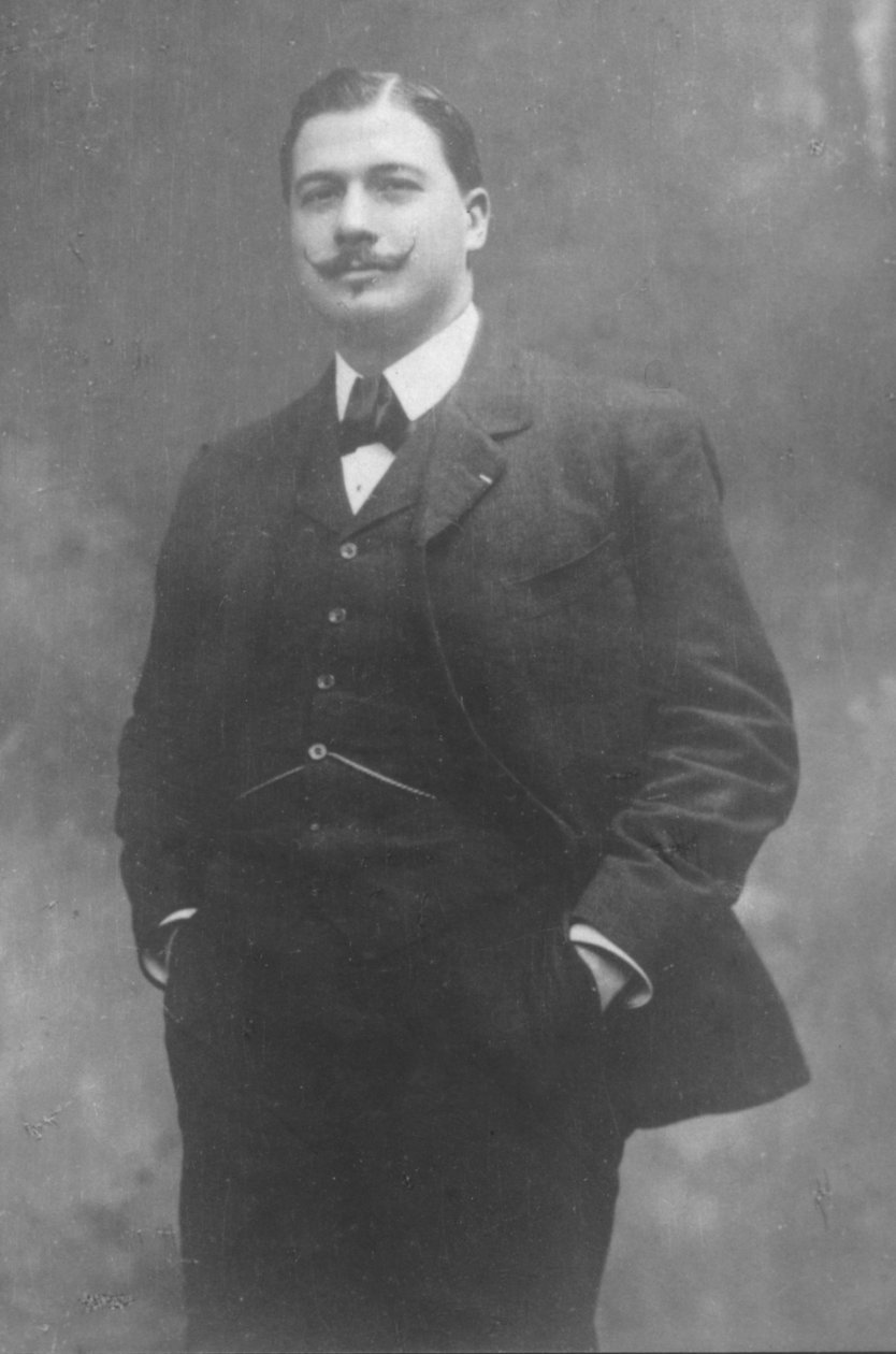 hest, ca. 1893 af Unbekannt