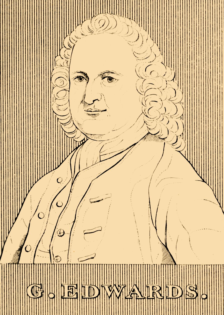 G. Edwards, 1694-1773, 1830. af Unbekannt