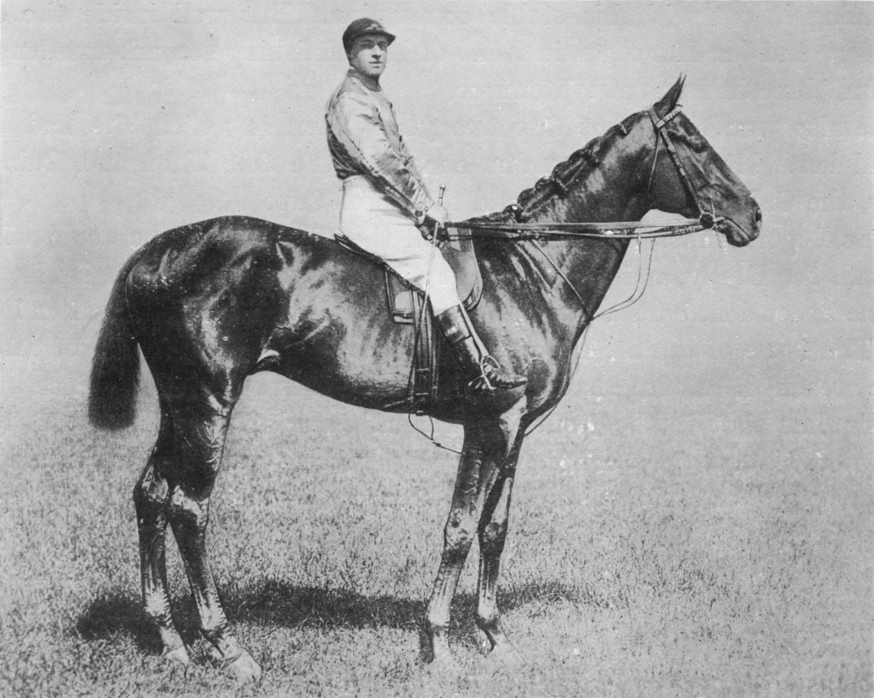 Galtee More, 1894-1917, 1911 af Unbekannt