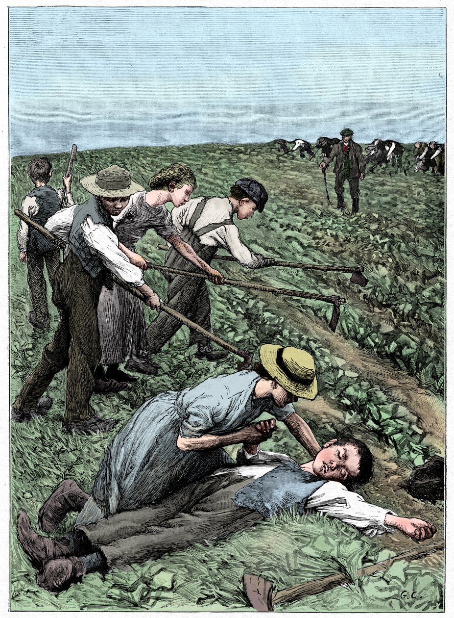 Bandesystem for børnearbejde, c1885 af Unbekannt
