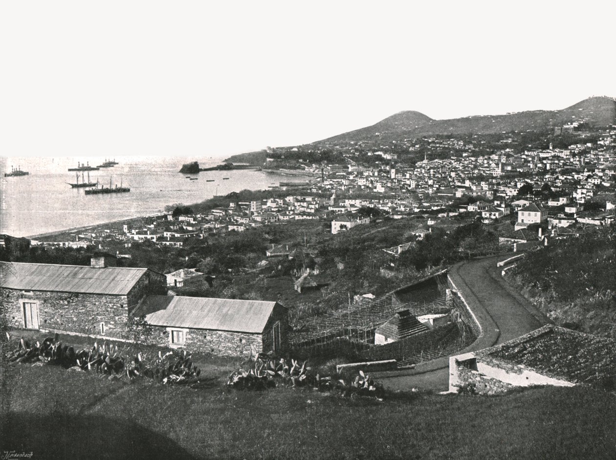 Generelt billede af Funchal, Madeira, Portugal, 1895. af Unbekannt