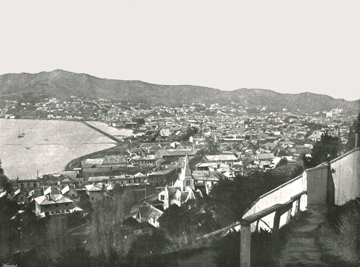 Generel udsigt over byen, Wellington, New Zealand, 1895. af Unbekannt
