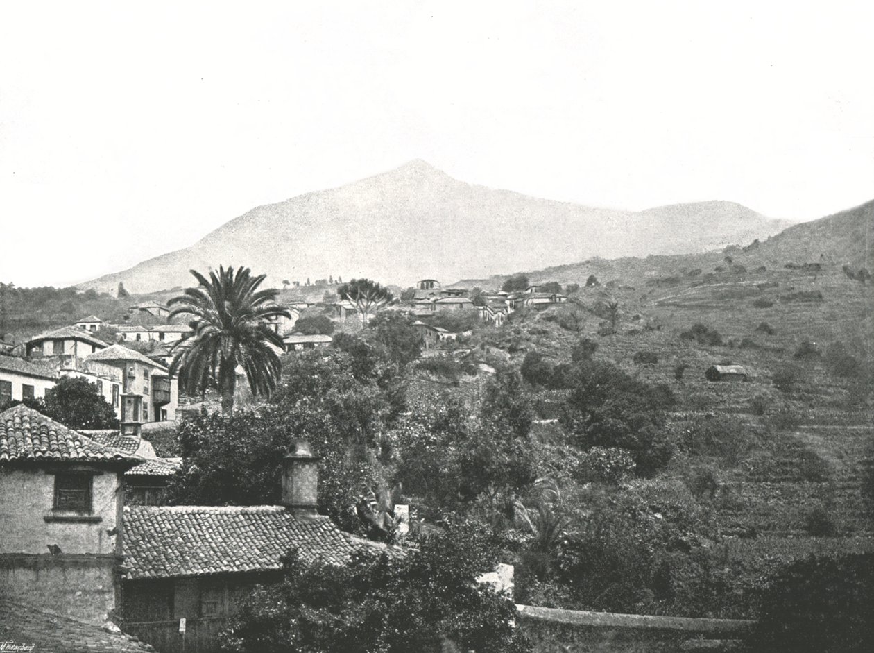 Generel visning af toppen, Tenerife, De Kanariske Øer, Spanien, 1895. af Unbekannt