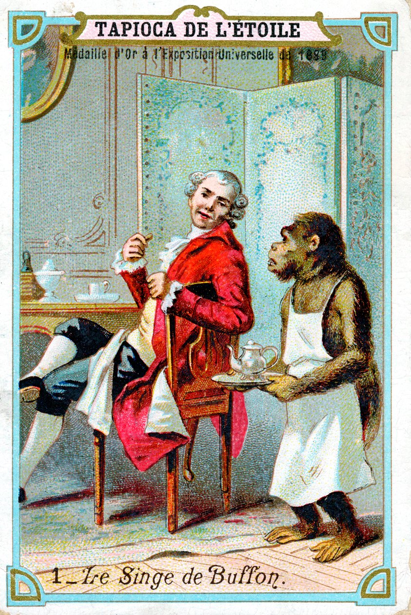 George-Louis Leclerc, Comte de Buffon, fransk naturforsker fra det 18. århundrede, c1890 af Unbekannt