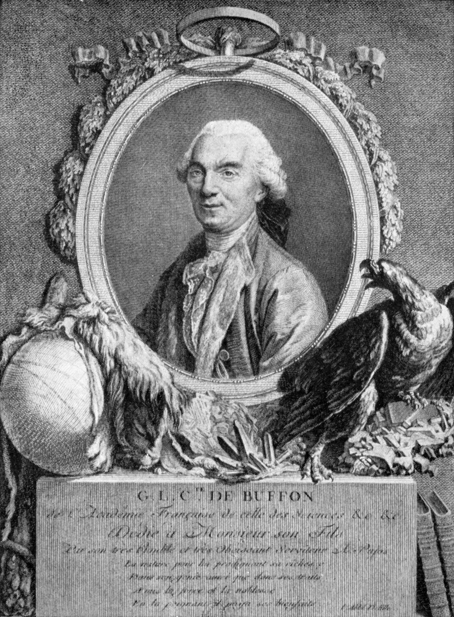 Georges-Louis Leclerc, Comte de Buffon, fransk naturforsker, 1700-tallet af Unbekannt