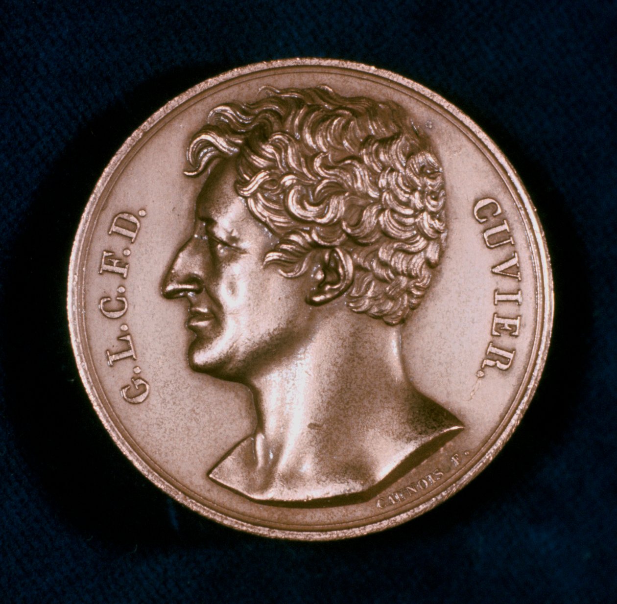 Georges Leopold Chretien Frederic Dagobert, Baron Cuvier, fransk anatom, 1800-tallet af Unbekannt