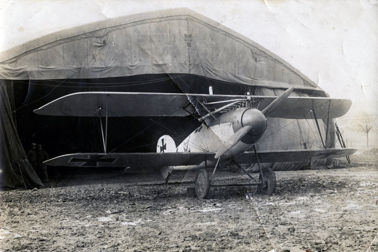 Tyske Albatros DV, Souilly, Frankrig, 2. januar 1918 af Unbekannt