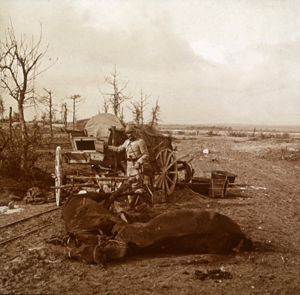 Tysk hestetrukket køretøj, Tahure, Nordfrankrig, c1914-c1918 af Unbekannt
