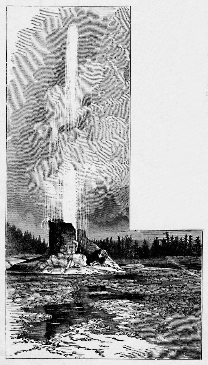 Kæmpegejser, 1883 af Unbekannt