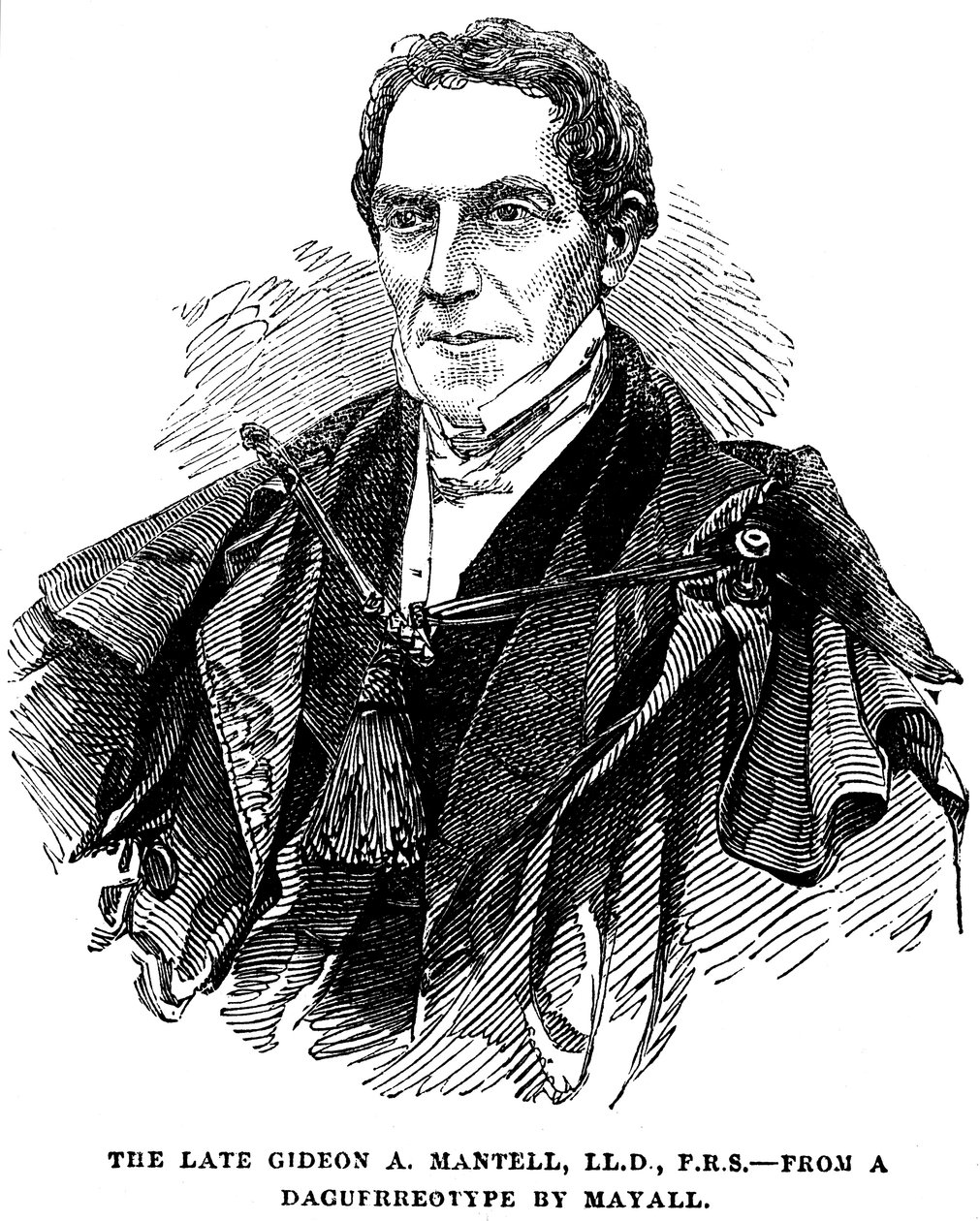 Gideon Algernon Mantell, engelsk geolog, 1852 af Unbekannt