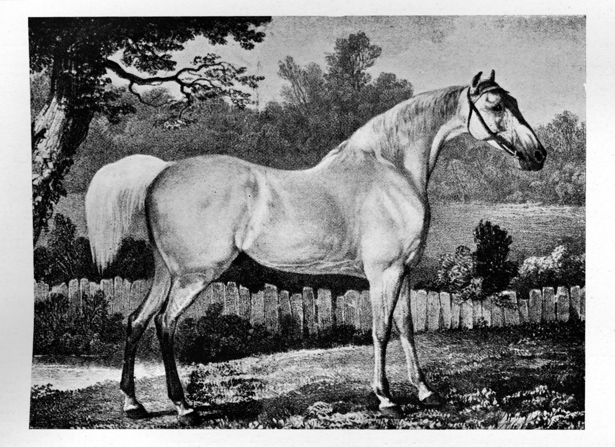 Gimcrack, 1760 -1777, 1911 af Unbekannt