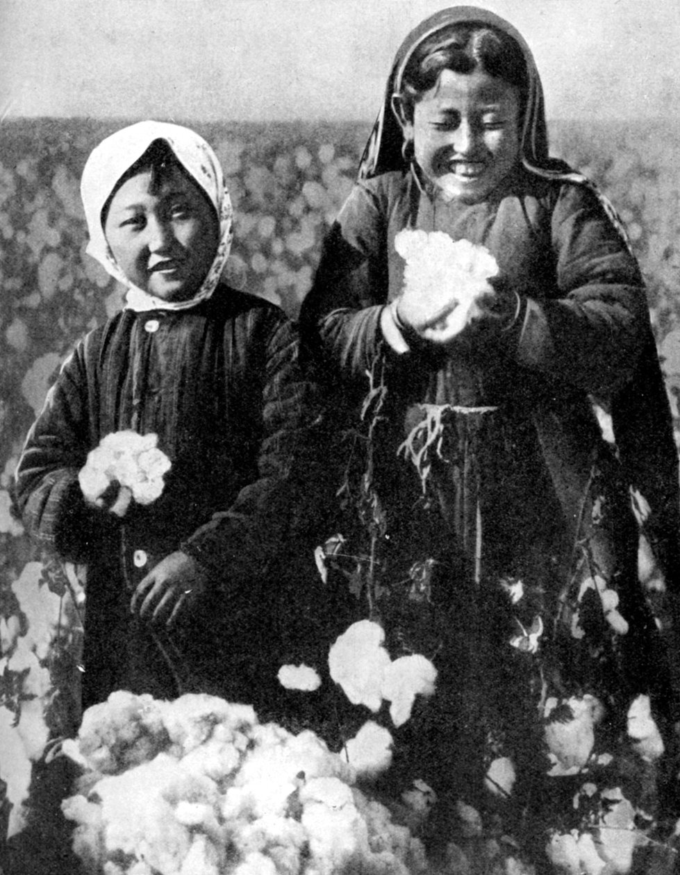 Piger i en bomuldsmark, Kasakhstan, 1936 af Unbekannt