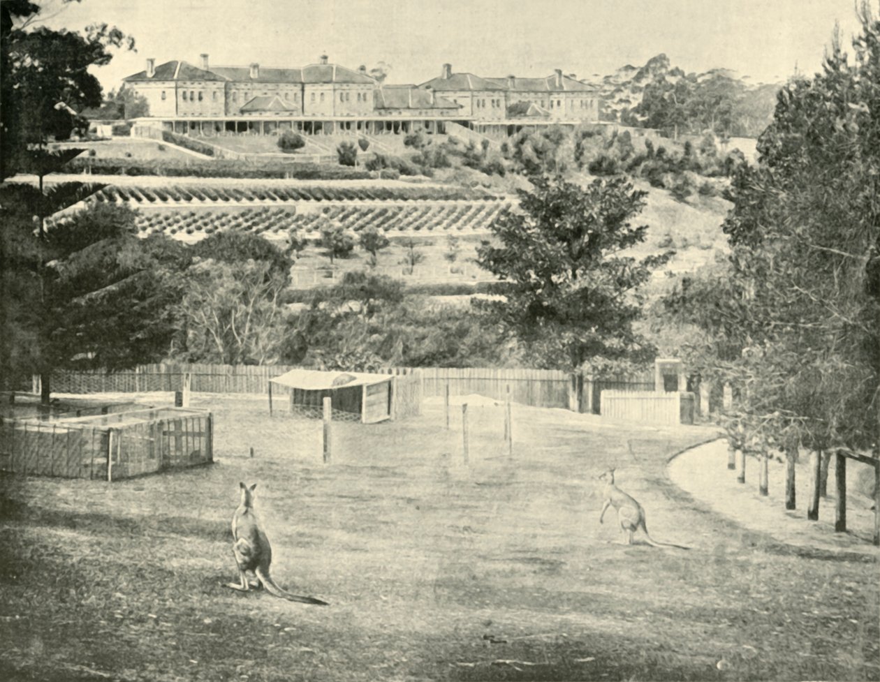 Gladesville Asylum for the Insane, New South Wales, 1901. af Unbekannt