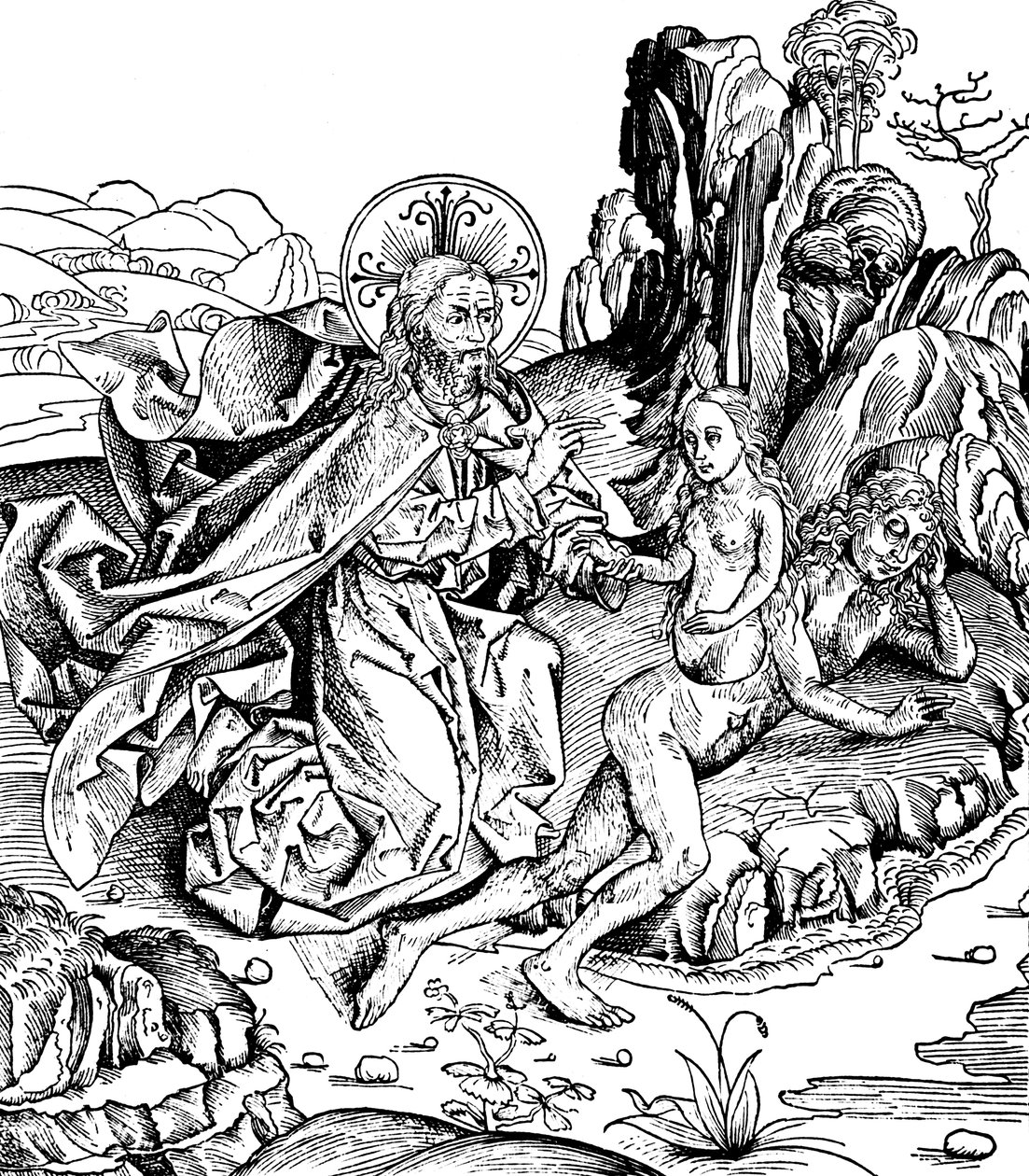 Gud skabte Eva fra Adams ribben, 1493 af Unbekannt