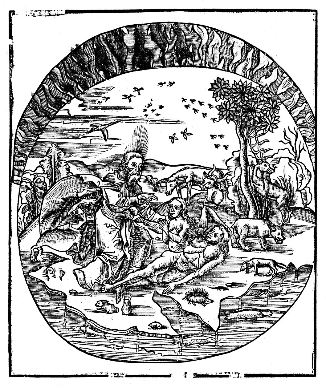 Gud skabte Eva fra Adams ribben, 1508 af Unbekannt