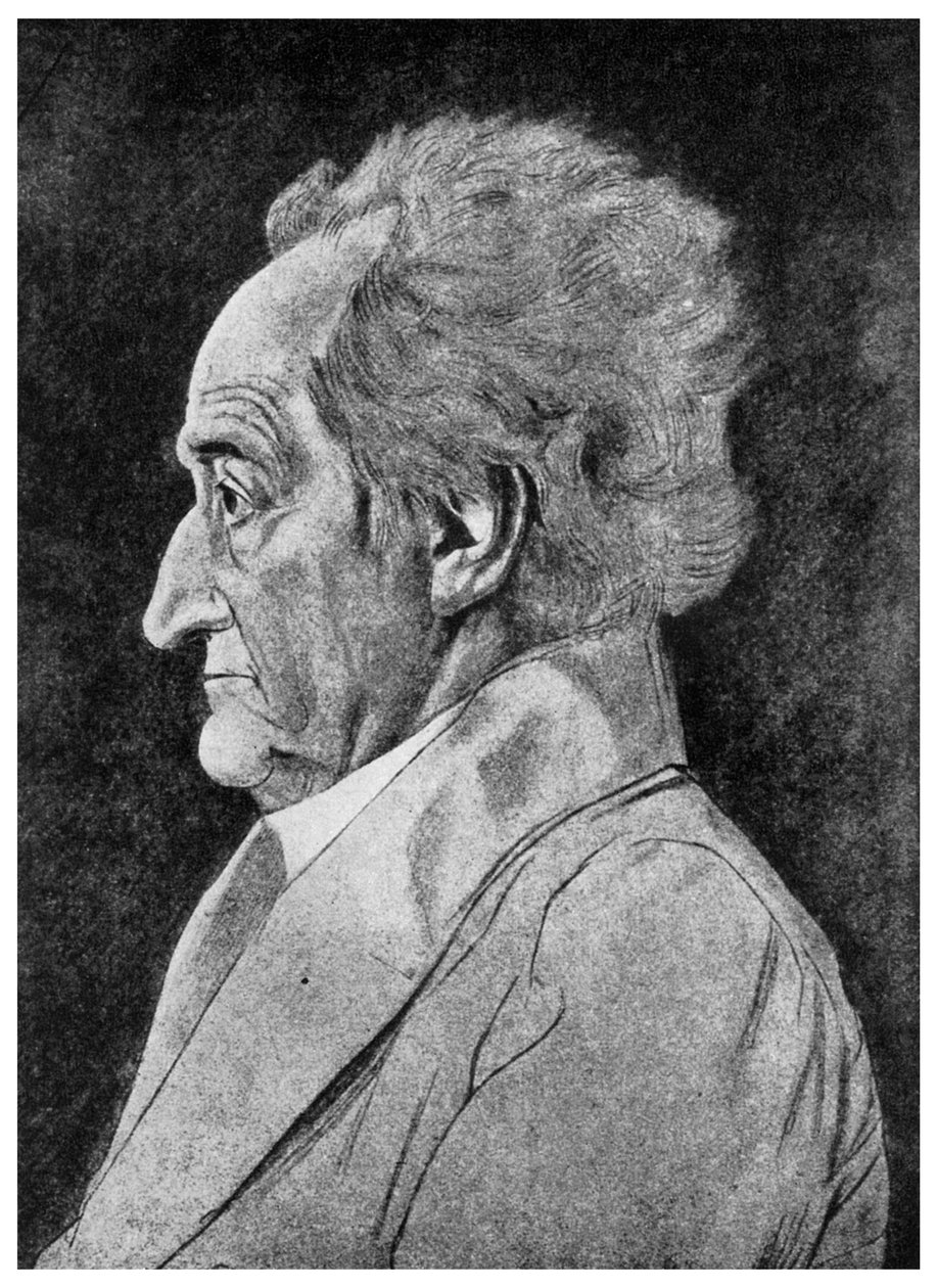 Goethe, tysk digter, 1800-tallet 1956 af Unbekannt