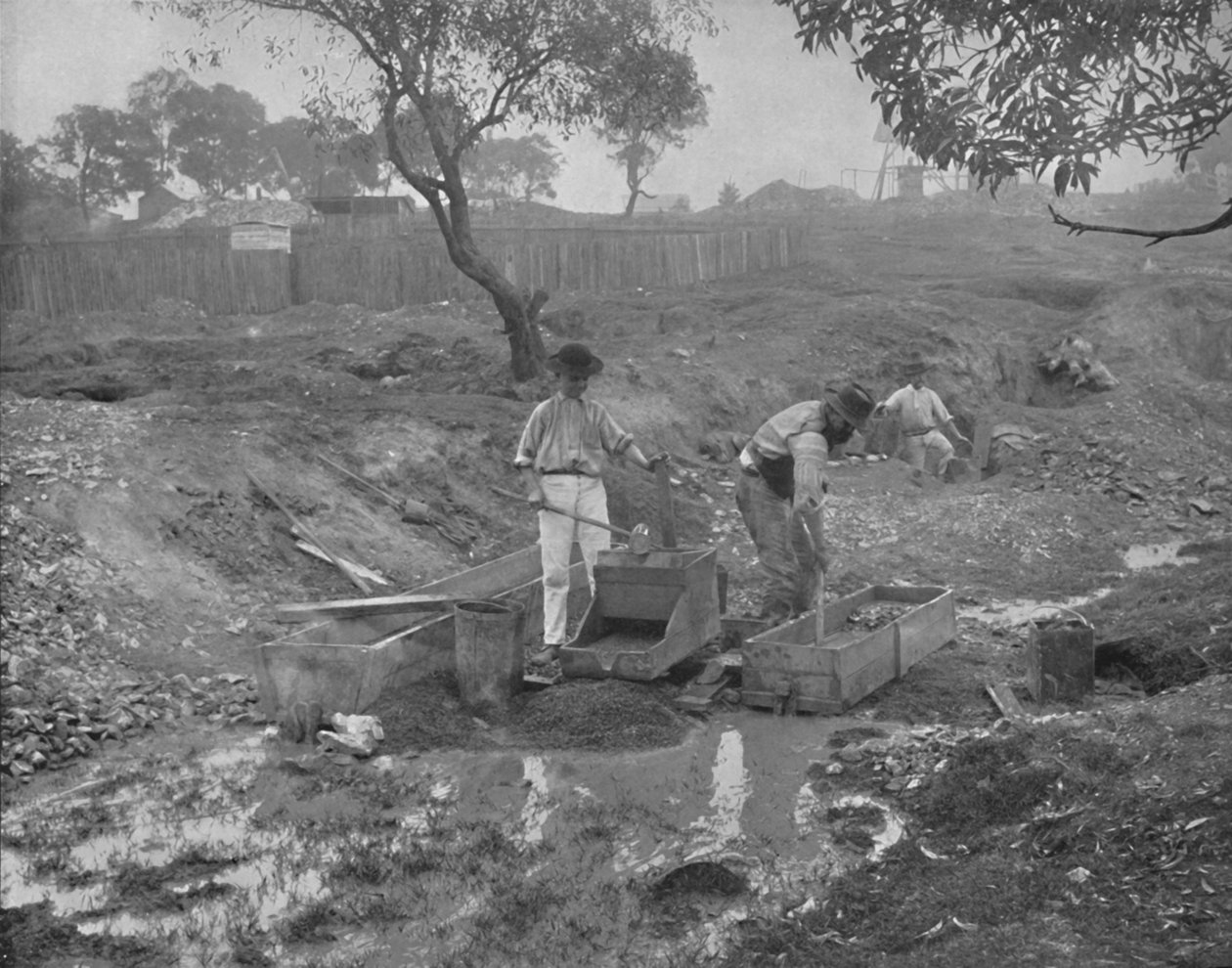 Guldgravning i Australien, 1800-tallet af Unbekannt