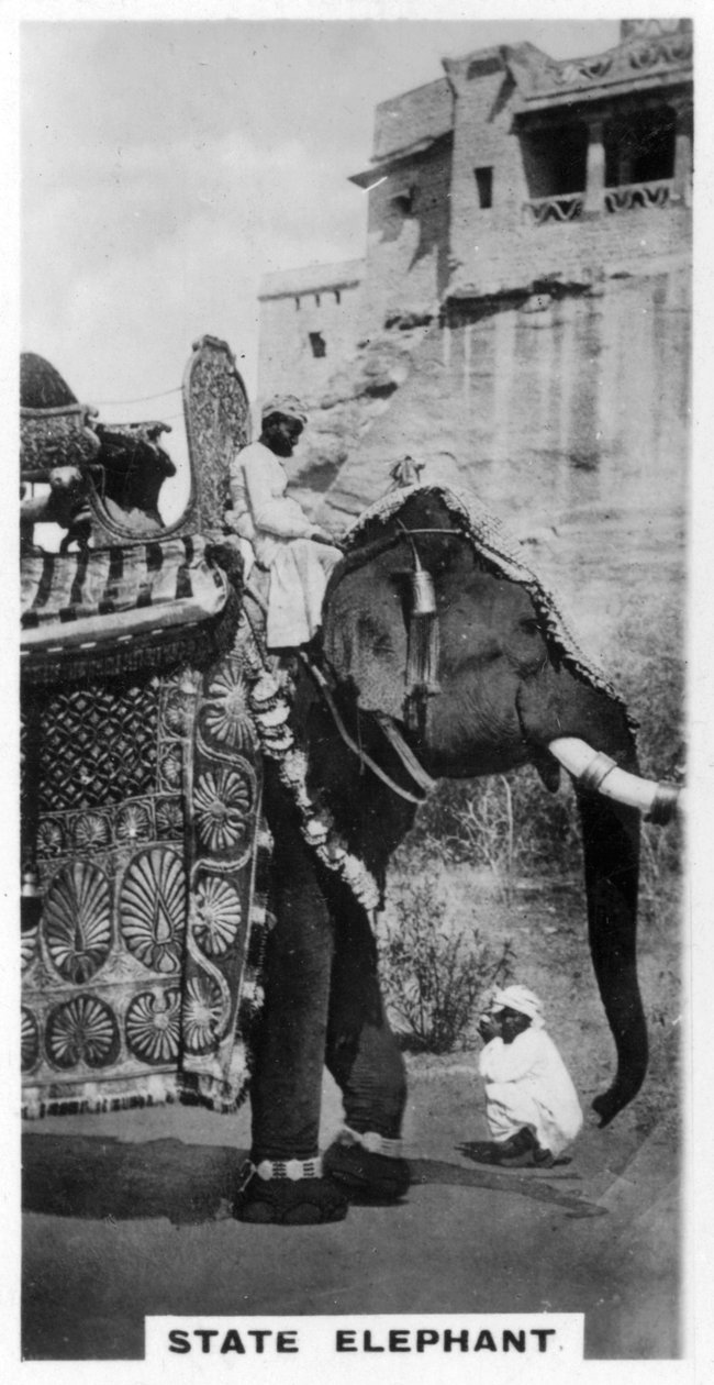Regeringelefant i statsdragt, Sydindien, c1925 af Unbekannt