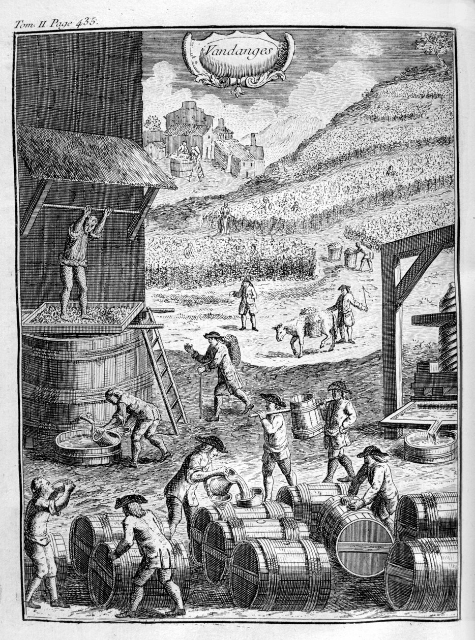 Druehøst, 1775 af Unbekannt