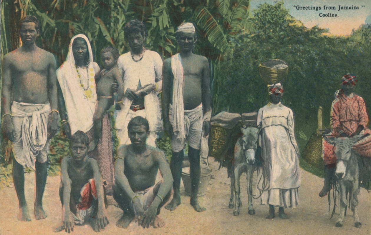 Hilsen fra Jamaica. Coolies, begyndelsen af det 20. århundrede. af Unbekannt