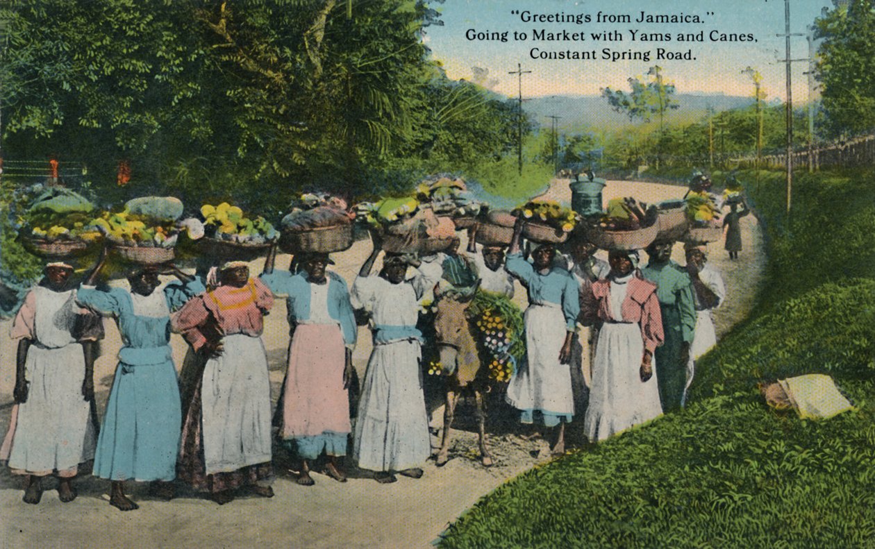 Hilsen fra Jamaica. Går på marked med Yams og Stokke. Constant Spring Road, 1913. af Unbekannt