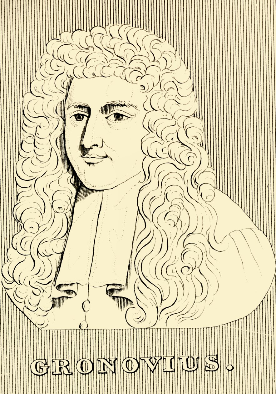 Gronovius, 1690-1762, 1830 af Unbekannt