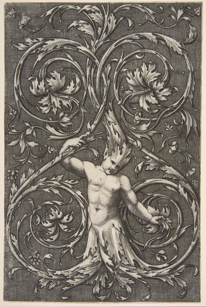 Grotesk med mandsfigur med underkrop og hoved af akantusruller, ca. 1515-1600. af Unbekannt