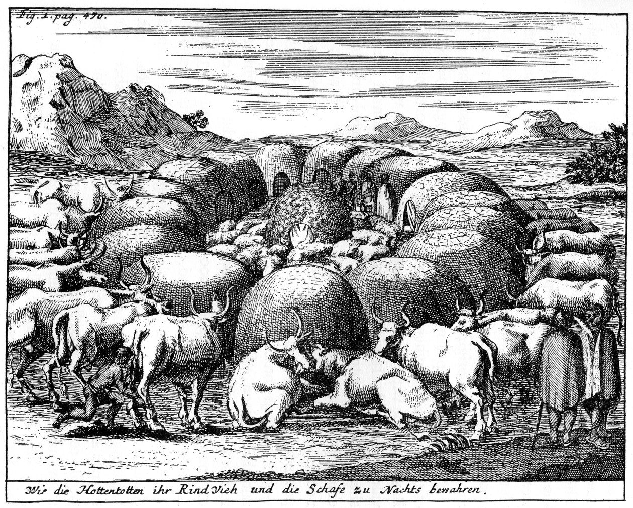 Bevogtning af får og kvæg om natten, Sydafrika, 1700-tallet 1931 af Unbekannt