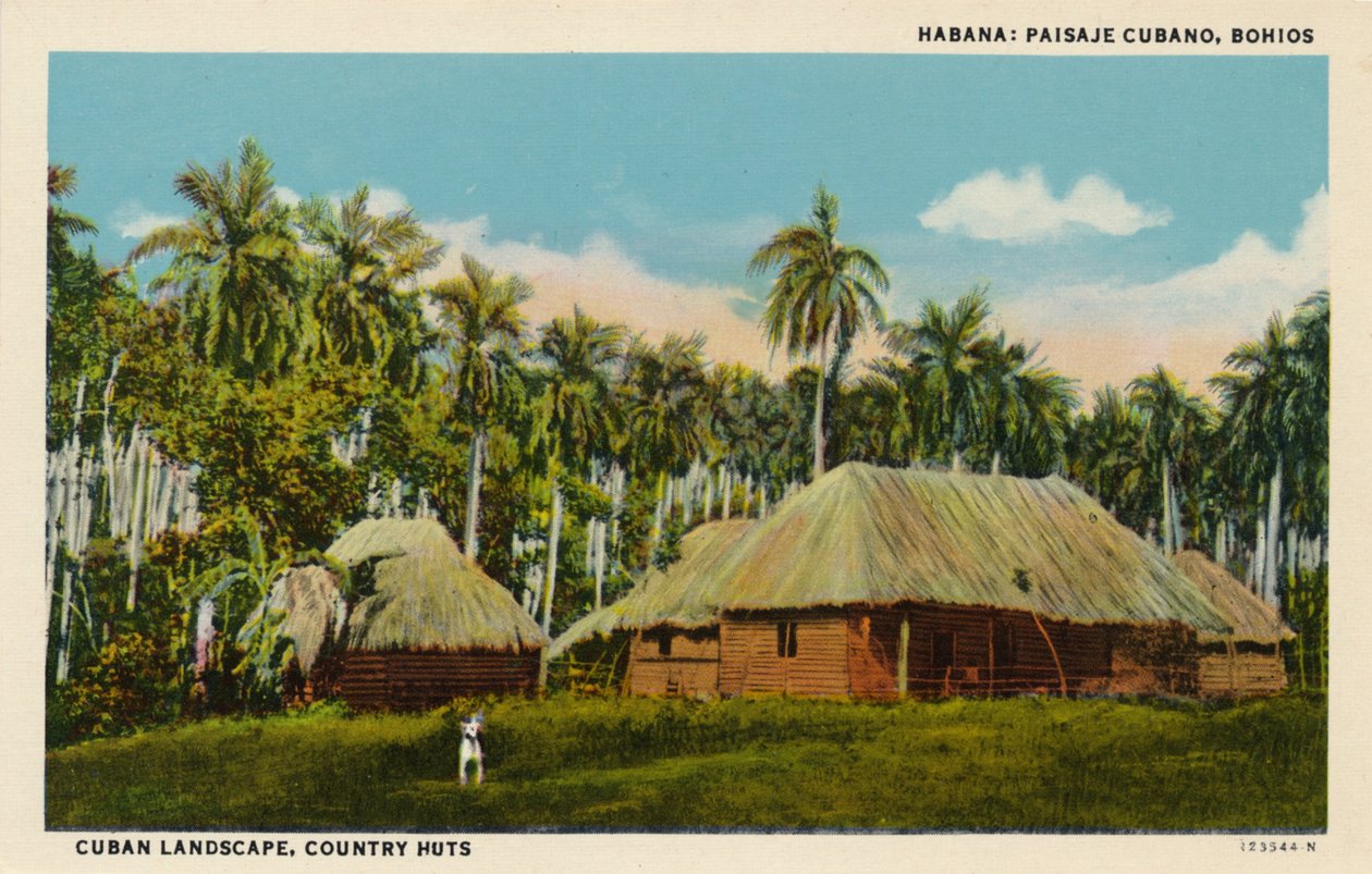 Havana: Cubansk landskab, Bohios. Cubansk landskab, landhytter, c1910 af Unbekannt