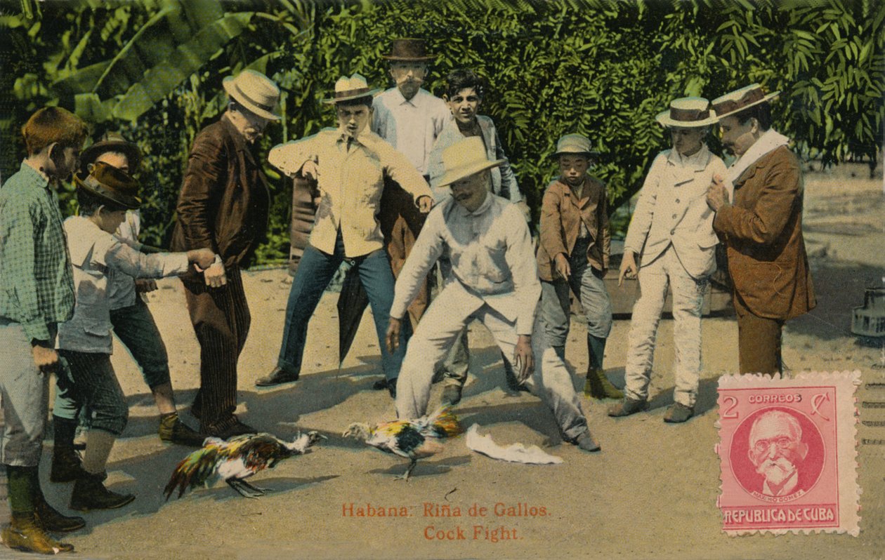 Havana: Rina de Gallos. Hanekamp, ​​1918 af Unbekannt