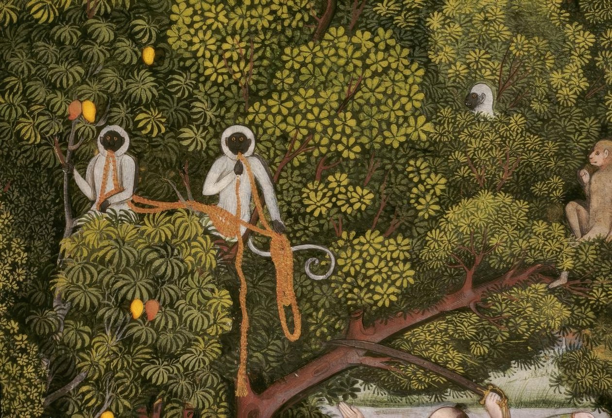 Hanuman-Languren indisk miniature af Unbekannt