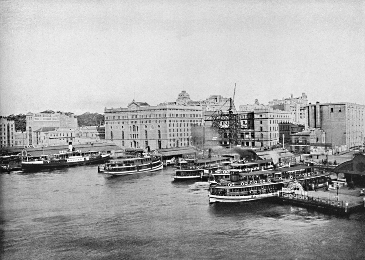 Harbour færgebåde ved Circular Quay, c1900. af Unbekannt