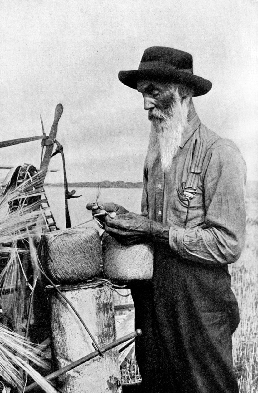 Høsttid i Red River-distriktet, Alberta, Canada, 1922 af Unbekannt