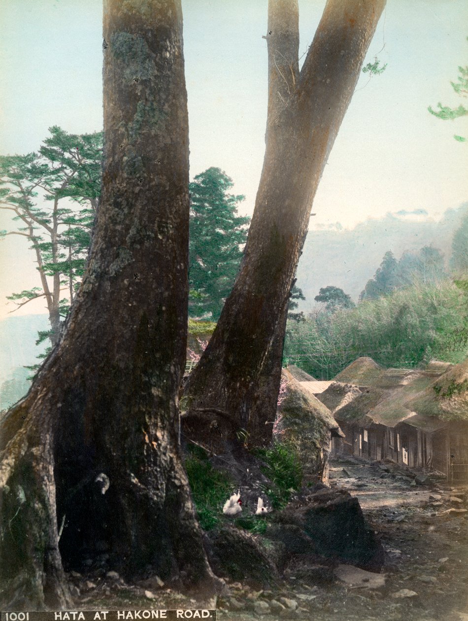 Hata ved Hakone Road, Japan, begyndelsen af det 20. århundrede af Unbekannt