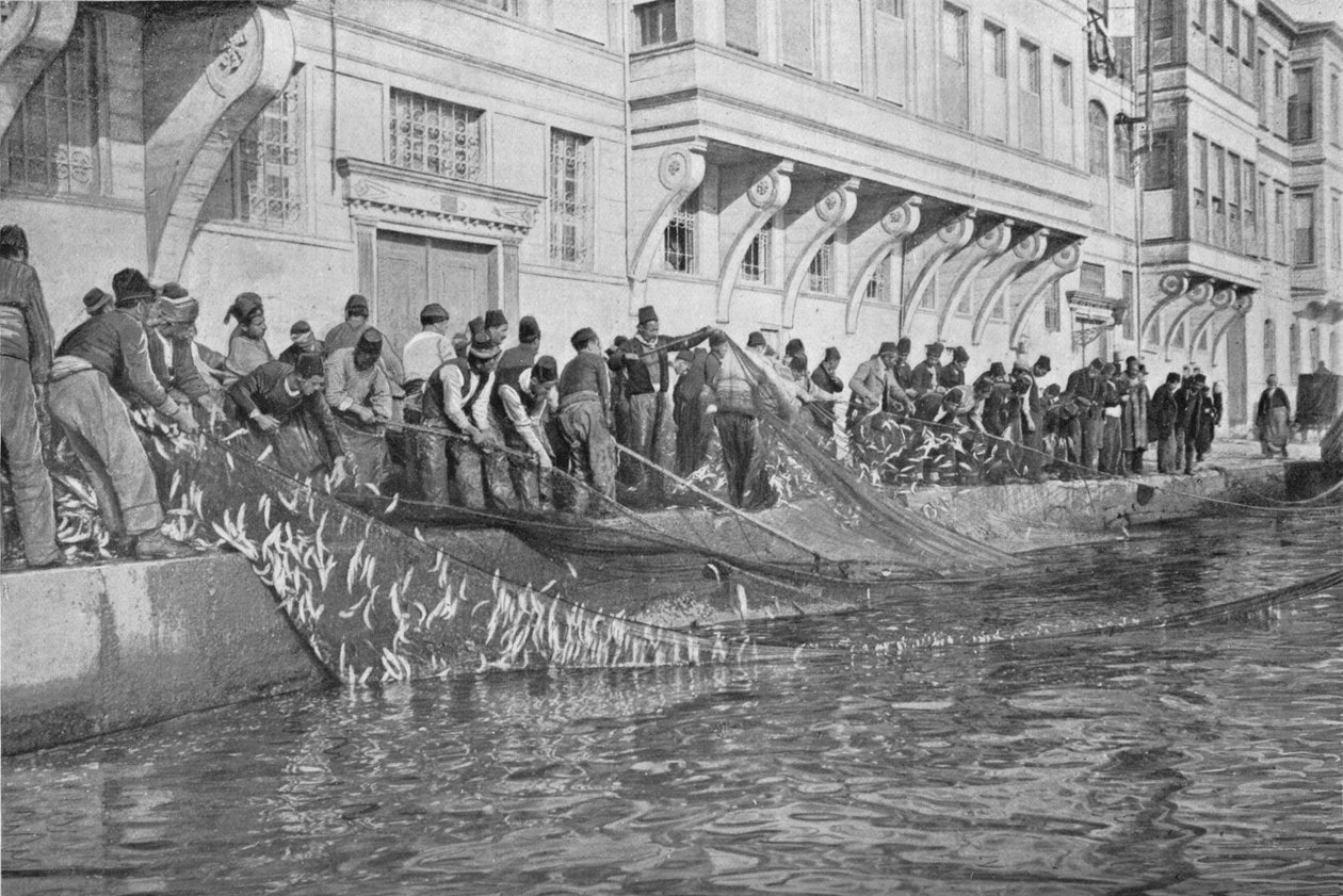 Indhaling af en Grippo på 15000 fisk ved Emirgian på Bosporus, c1901, 1903 af Unbekannt