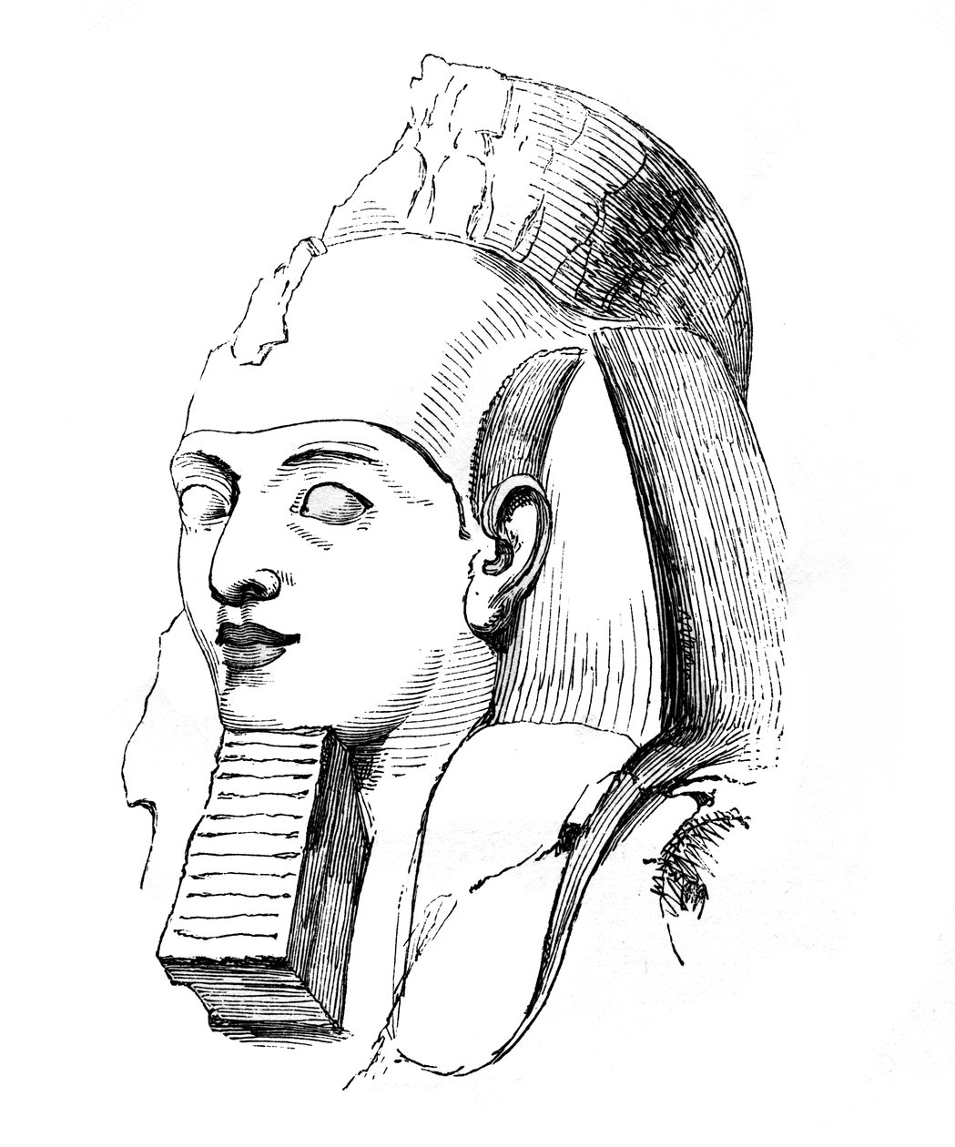 Leder af Rameses, 1848 af Unbekannt