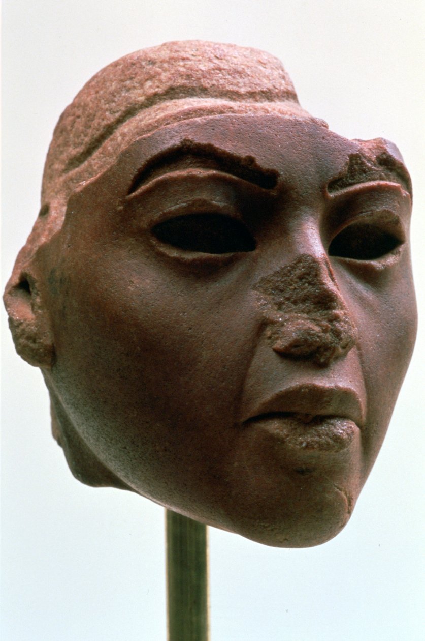 Leder af den gamle egyptiske dronning Tiye, c1388-1340 f.Kr af Unbekannt