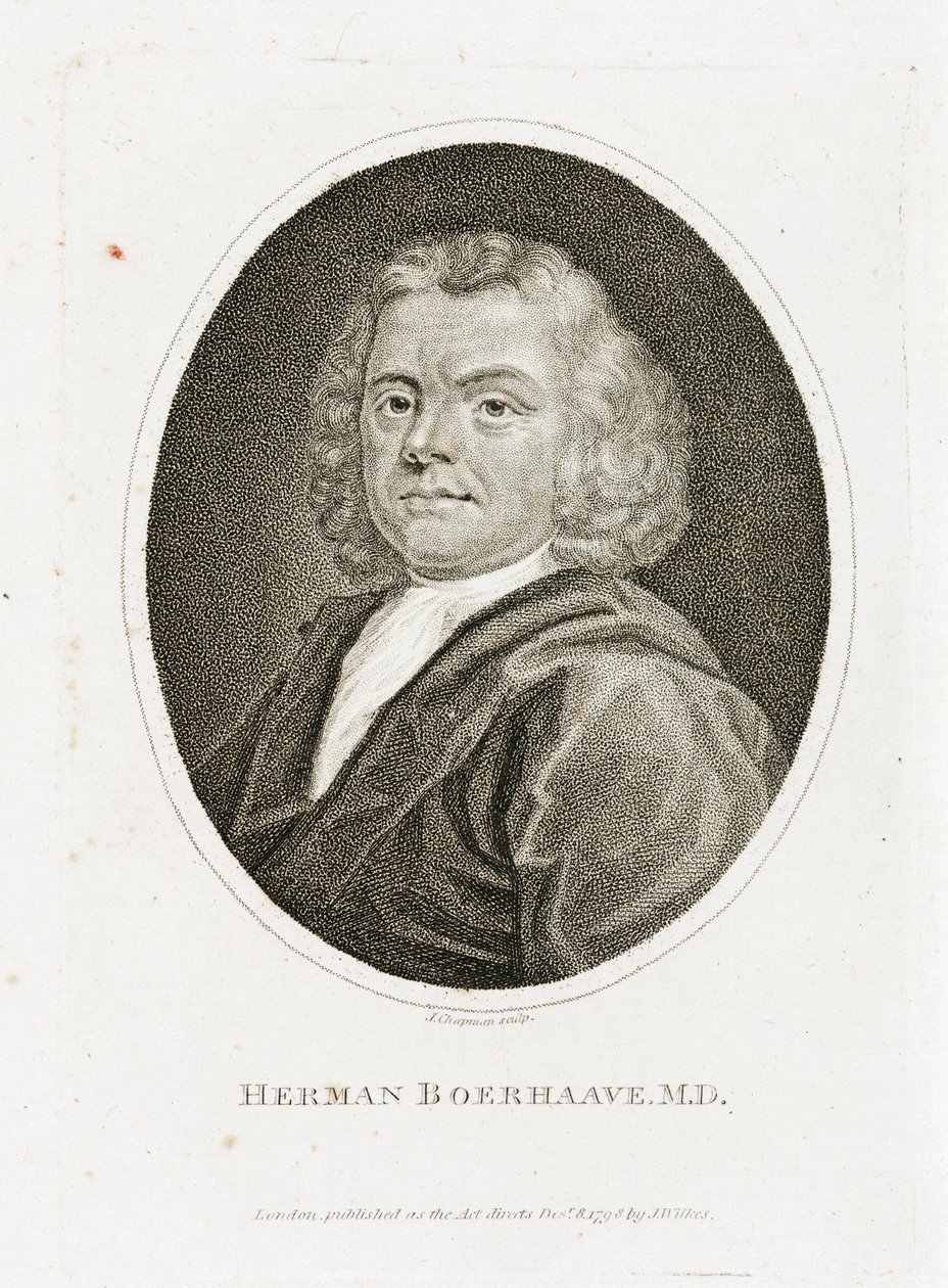 Herman Boerhaave, hollandsk læge, kemiker og botaniker, begyndelsen af det 18. århundrede af Unbekannt