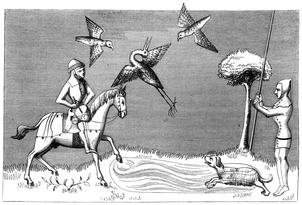 Heron Hawking, 14. århundrede 1849 af Unbekannt