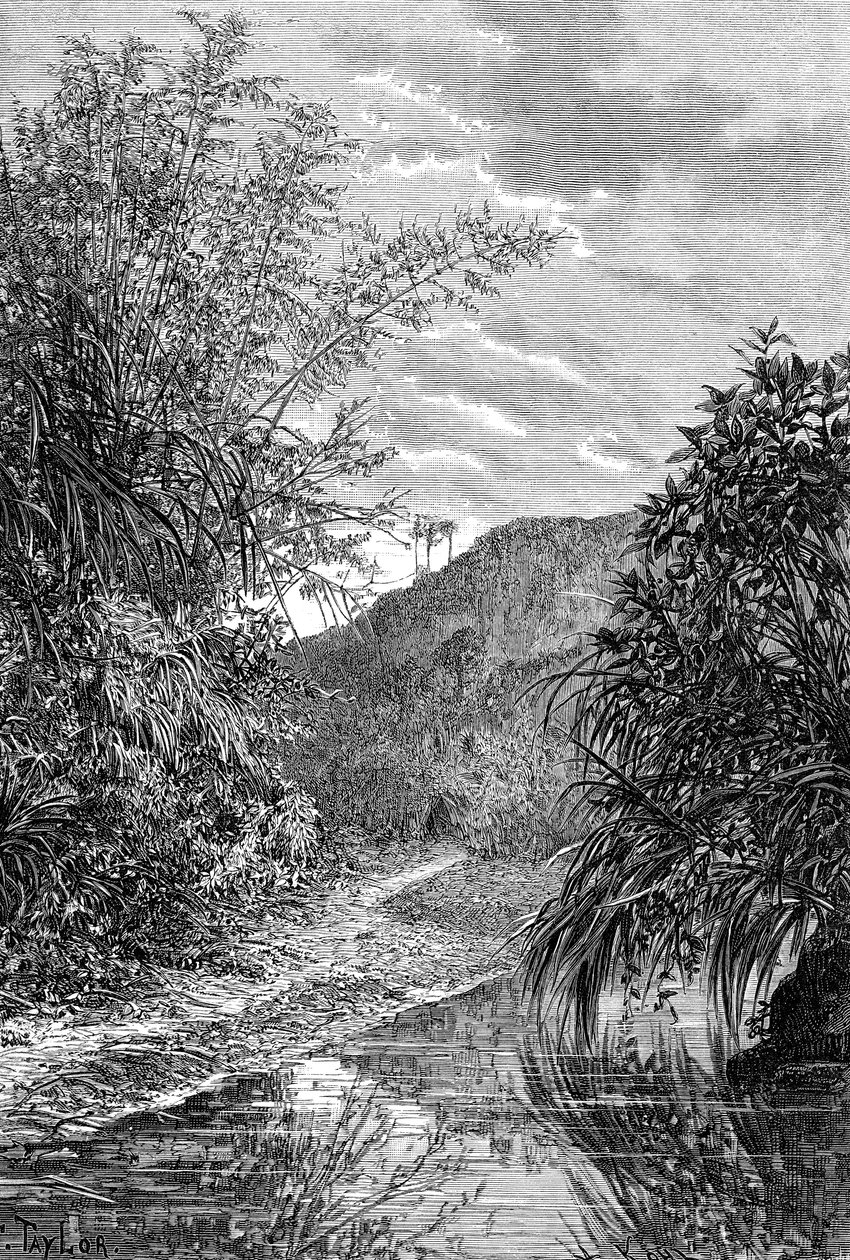 Highland Landscape, Formosa, c1890 af Unbekannt