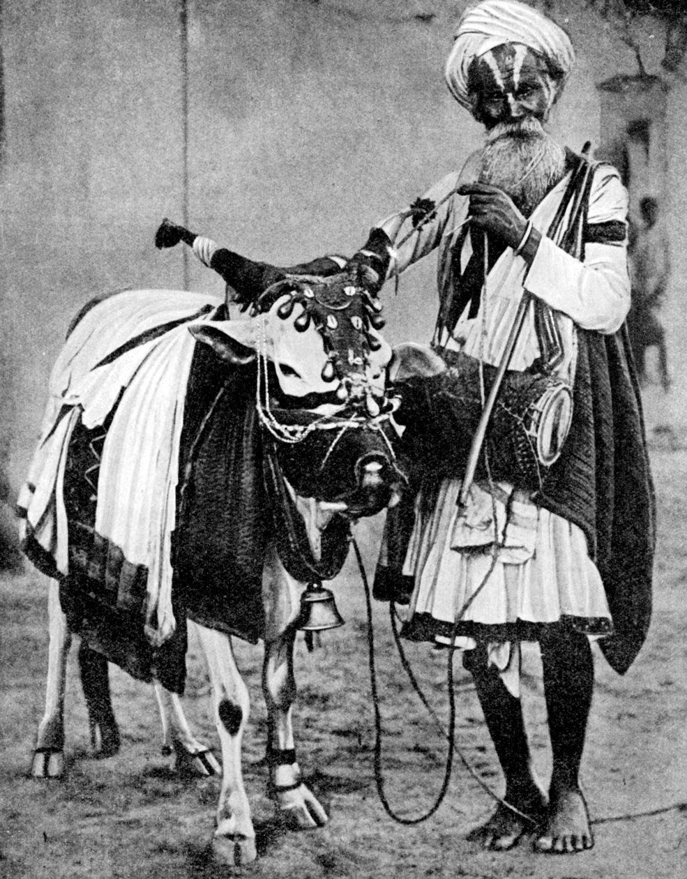 Hindu ko med hellig ko, Indien, 1936 af Unbekannt