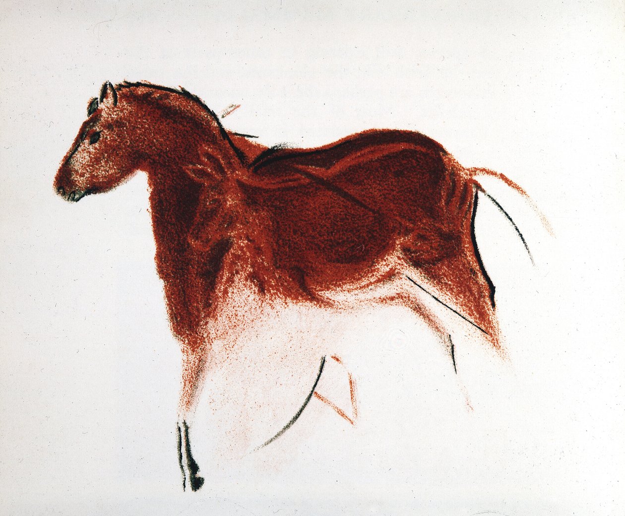 Hest og hind, palæolitisk hulemaleri fra Altamira, det sydlige Spanien, c16.000-c9000 f.Kr. af Unbekannt
