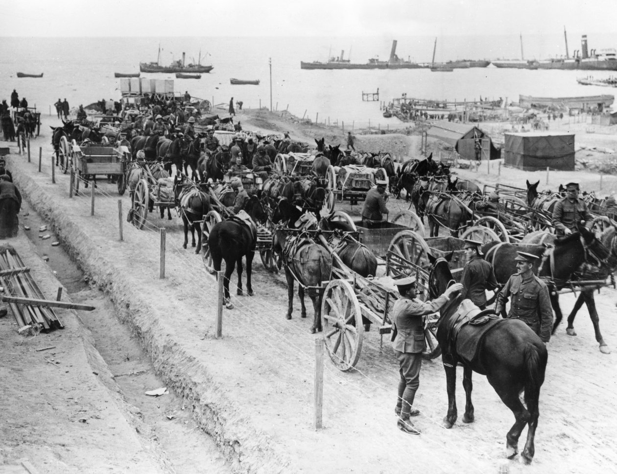Hestetrukket transport, allierede operationer i Dardanellerne, Tyrkiet, 1915-1916 af Unbekannt