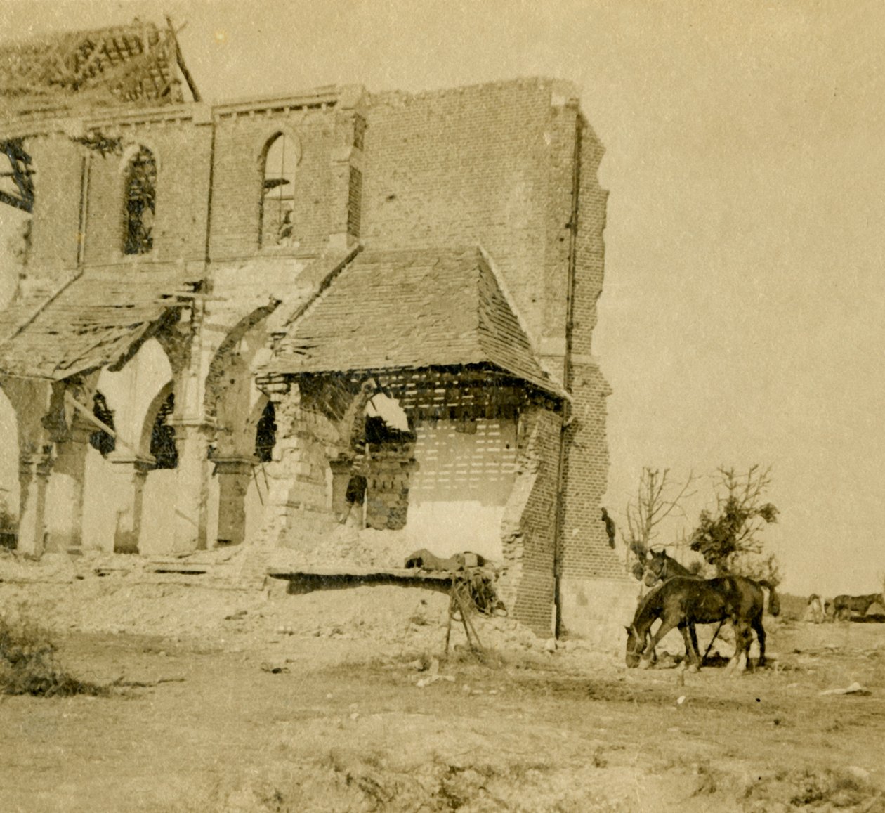 Heste, der græsser nær kirkeruin, Frise, Nordfrankrig, c1914-c1918 af Unbekannt