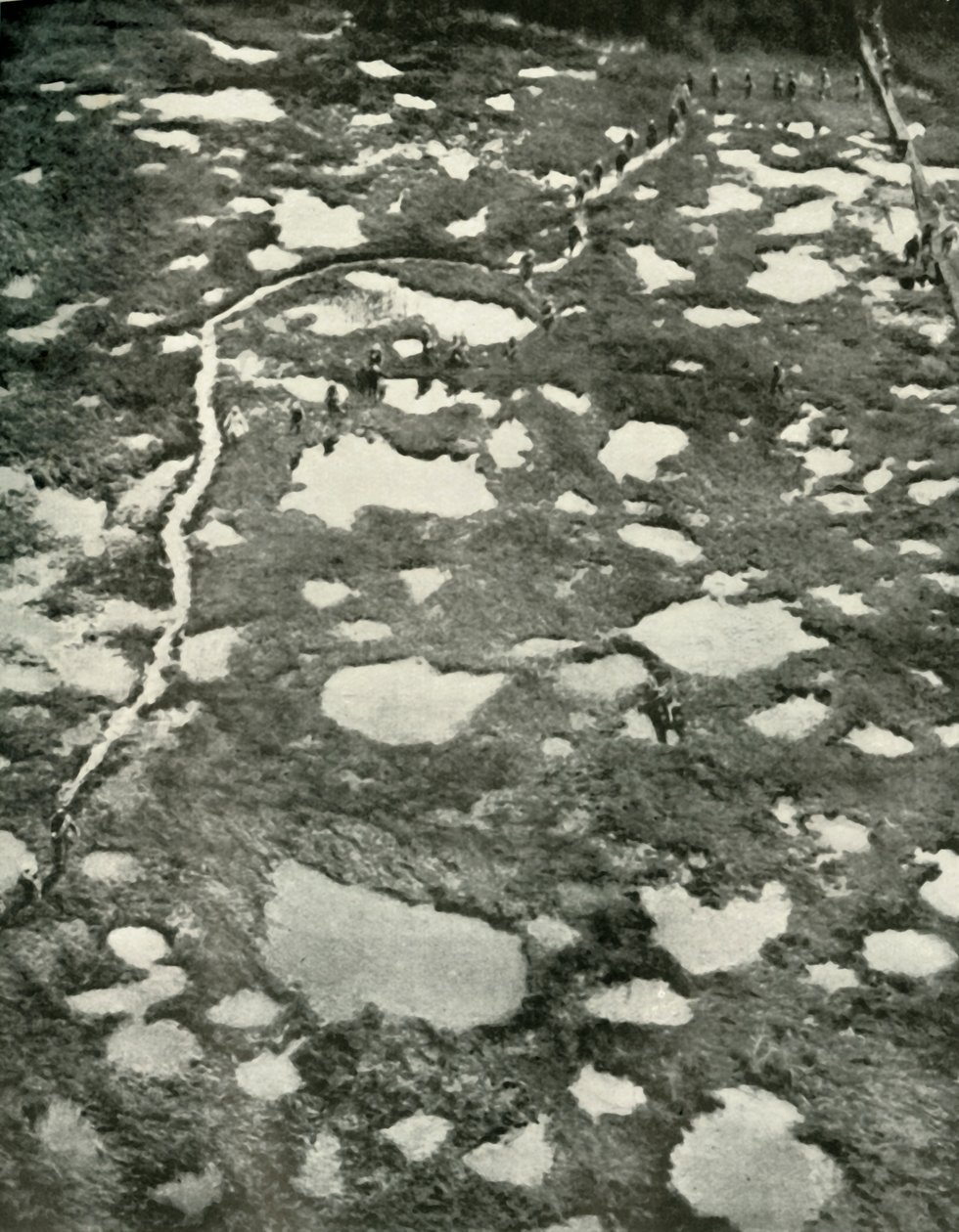 Hvordan vejret hindrede fremskridtet, 1919. af Unbekannt