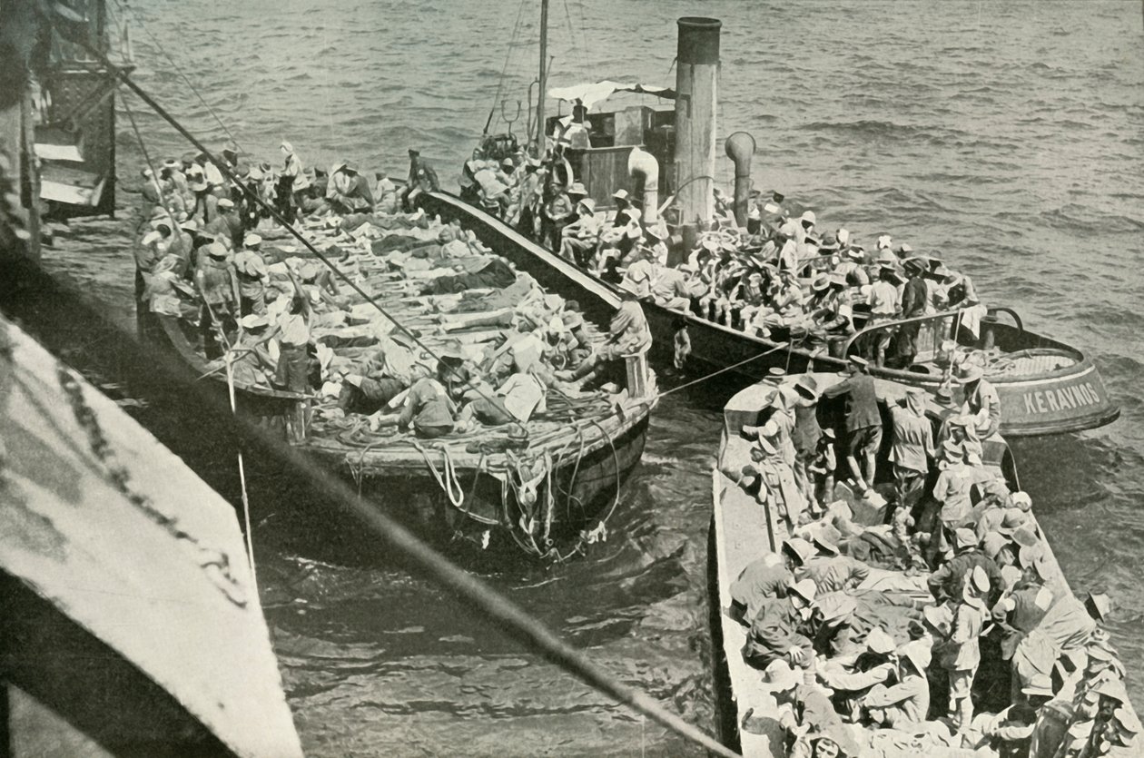 Hvordan de sårede blev ført til hospitalsskibene, 1919. af Unbekannt