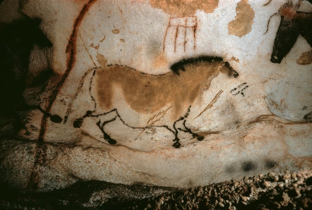 Hulemaleri i Lascaux, Frankrig af Unbekannt